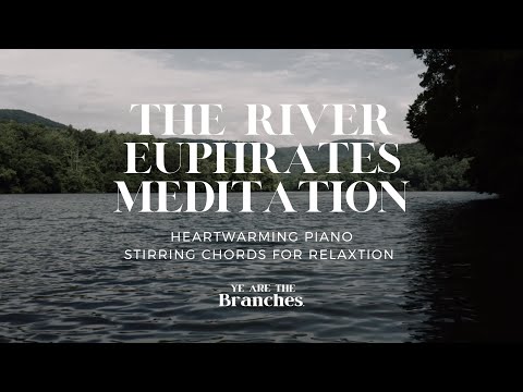 [REST FOR THE SOUL]  Lofi - Study - Meditation 