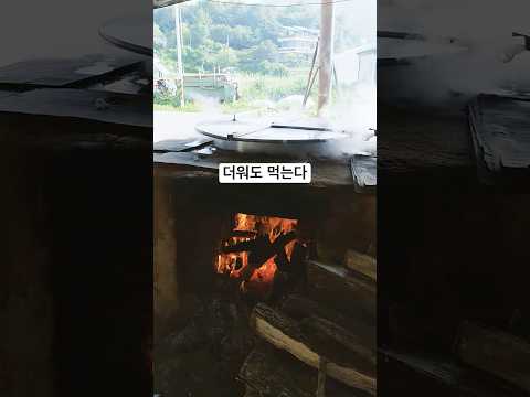 괴산 칠성면 가마솥 대학찰옥수수 두친농장 위치공유