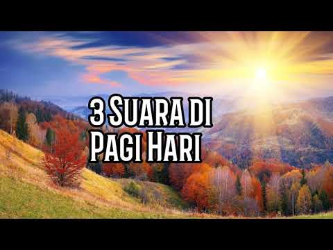 download lagu mp3 mp4 Renungan Harian Kristen Saat Teduh, download lagu Renungan Harian Kristen Saat Teduh gratis, unduh video klip Renungan Harian Kristen Saat Teduh