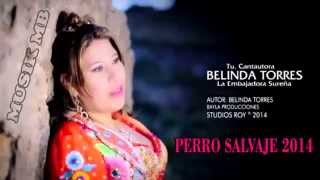 PERRO SALVAJE - BELINDA TORRES (PRIMICIA 2014 AUDIO LATINO)
