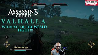 Assassins Creed Wildcats of the Weald fight