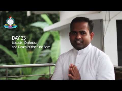 Day 33: Locusts, Darkness, and Death of the First Born I പുറപ്പാട് 10-11, ലേവ്യര്‍ 8 I സങ്കീ. 50 I
