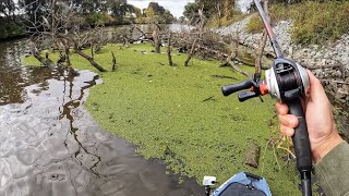 These are some of my favorite days on the water