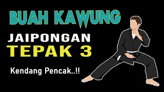 Download lagu BUAH KAWUNG JAIPONGAN TEPAK 3 KENDANG PENCAK mp3