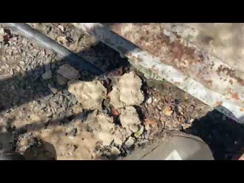 Water from Sump Pump Attracting Rodents to the Property in Long Branch, NJ