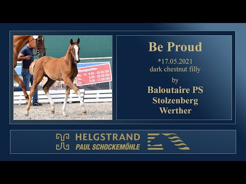 16 Be Proud by Baloutaire PS - Stolzenberg - Werther