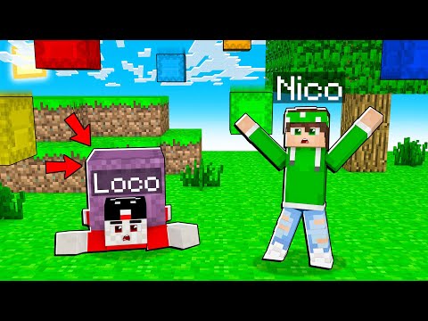 MINECRAFT MA PIOVONO SHULKER *SUPER OP* DAL CIELO!