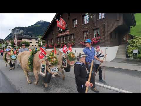 Alpine Descent Dallenwil 2020