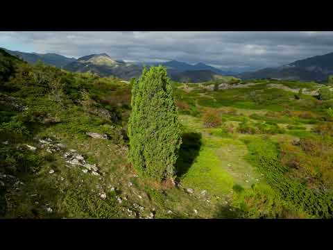 Senda de Xinebral de Mirantes  (P. N. Babia y Luna - León)