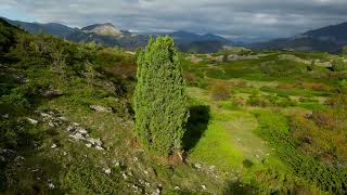 Senda de Xinebral de Mirantes  (P. N. Babia y Luna - León)