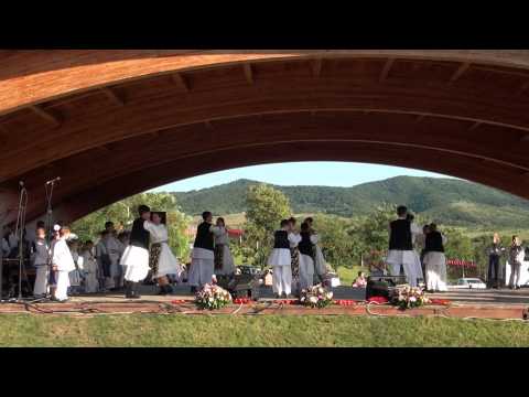 Festivalul Romanilor de Pretutindeni Covasint 2014 2