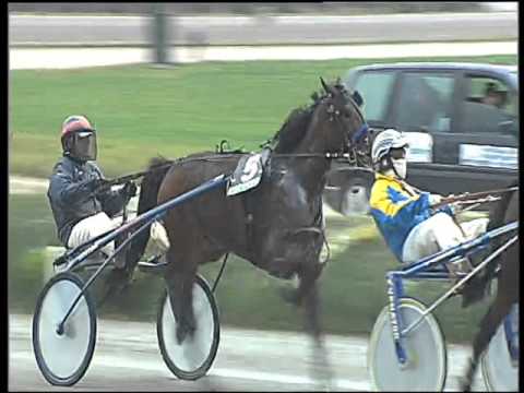 Trotto 05/01/2016 - 1° corsa