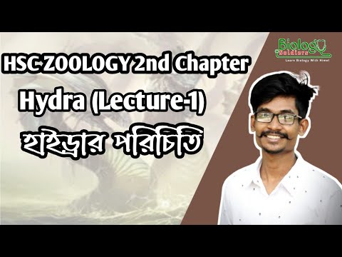 01. হাইড্রার পরিচিতি | HSC zoology chapter 2| Introduction of Hydra || Himel Vaiya থাম্বনেইল