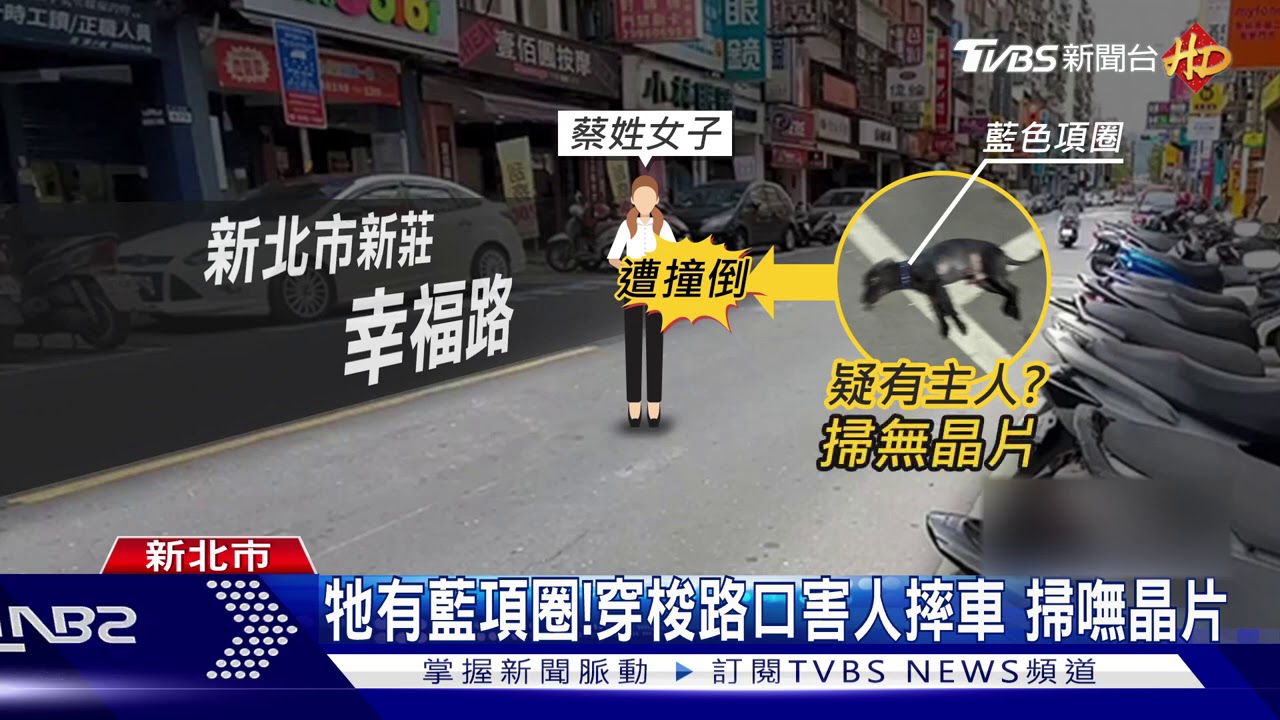 誰家的小黑！突竄出害女騎士　慘摔全身傷