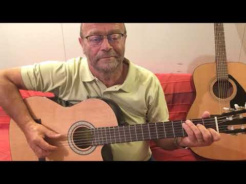 La puce et le pianiste  /  Yves Duteil  (cover)