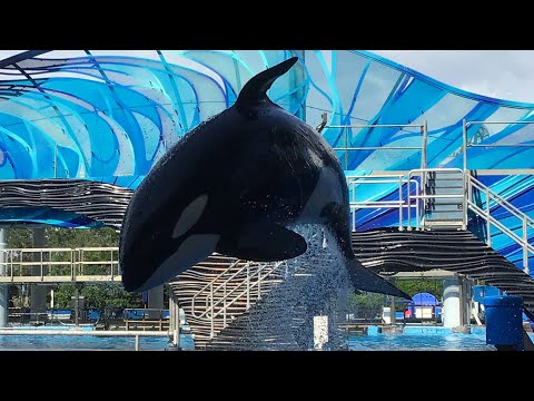 Sea World vacation 2020