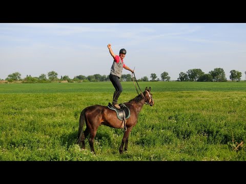 Wanderreiten durch die ungarische Puszta - Teil 3 (2015)