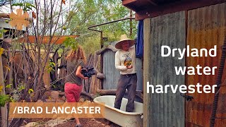 Dryland harvesting home hacks sun, rain, food & surroundings