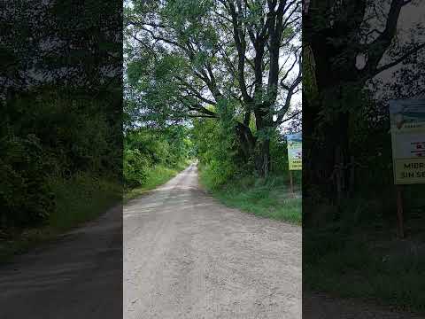 Lugar de Fundación de Colonia Avellaneda en 1904. Dto. Sauce. Paraba Campaña. E. Rios.