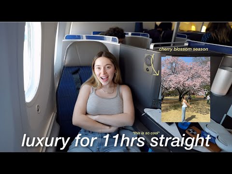 flying FIRST CLASS on a 11 hour flight to Japan *sakura season*