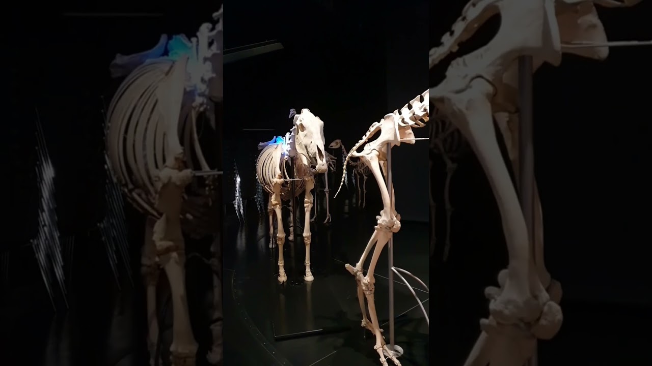 YouTube Short thumbnail