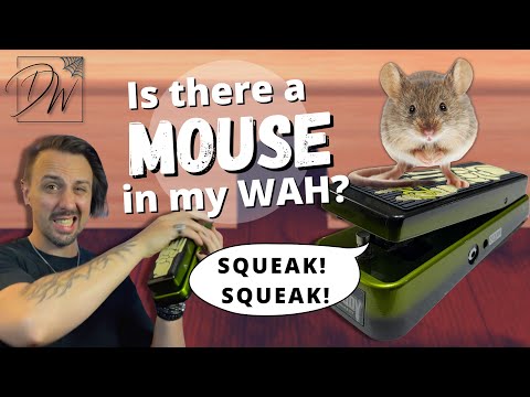 Fix A Squeaking Wah Pedal