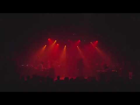 Nubiyan Twist at WF10