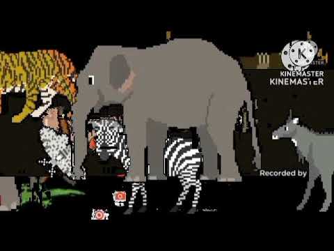 asia animals collecion kids picture show