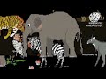 Asia Animals Collecion Kids Picture Show