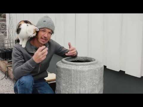 Planting pots correctly - Blackthorn in a pot - Make your own shabby chic bench