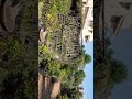 BILIMORA NURSERY FARM SURAT MAGOB
