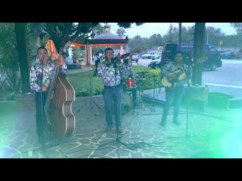 Corrido de Marcelo Díaz Los Potrillos De Turicato