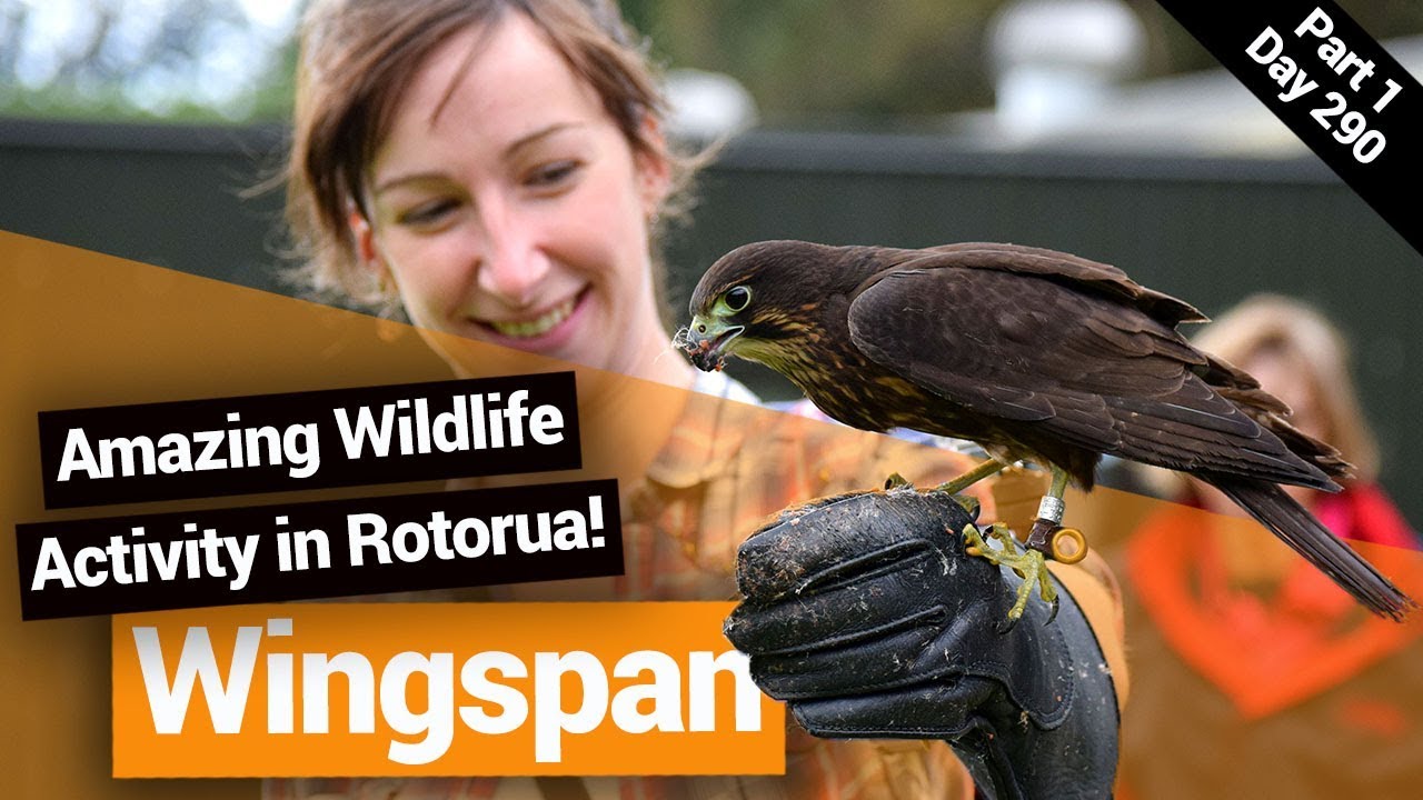 Travelers embark on a visit to Wingspan National Bird of Prey Centre.