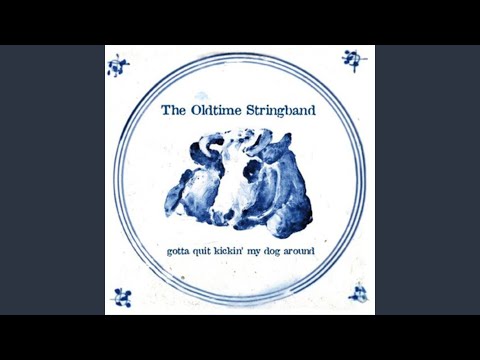 You Gotta Quit Kicking My Dog Around