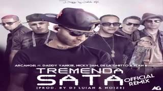 Tremenda Sata Remix   Arcángel ft  De la ghetto, Daddy Yankee, Nicky Jam y Plan B