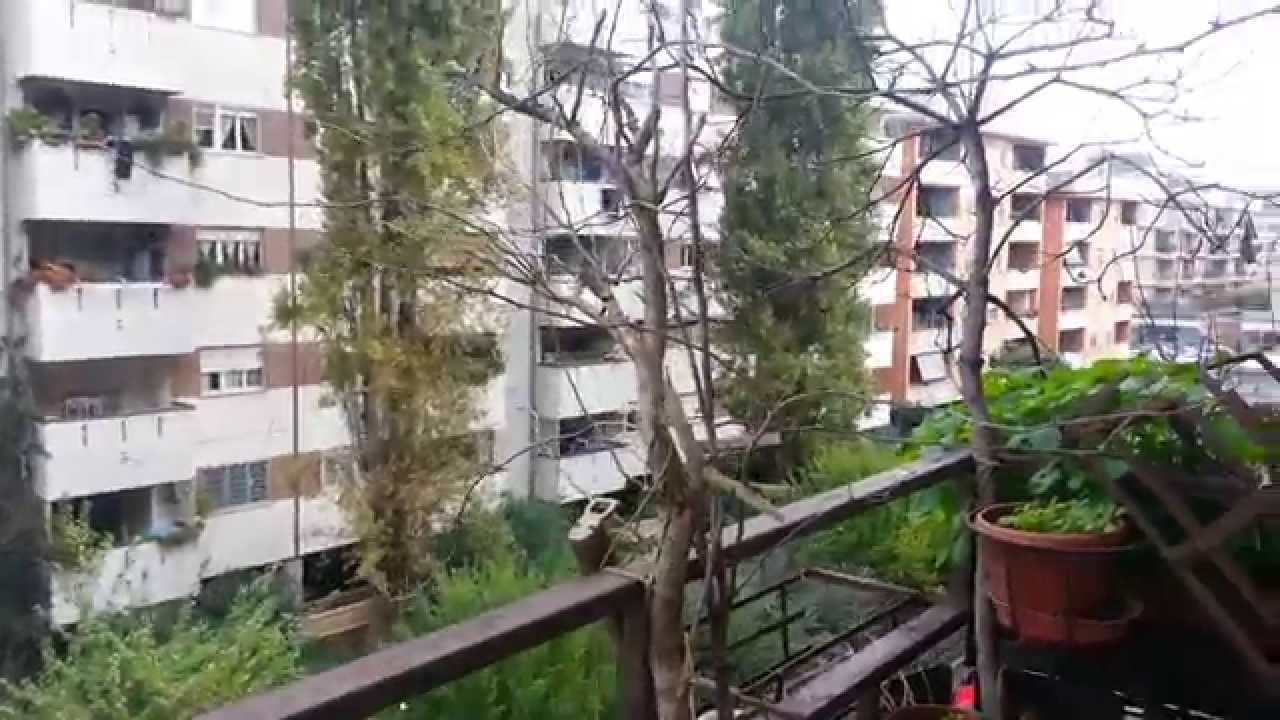 Appartamento Ostia via delle Azzorre