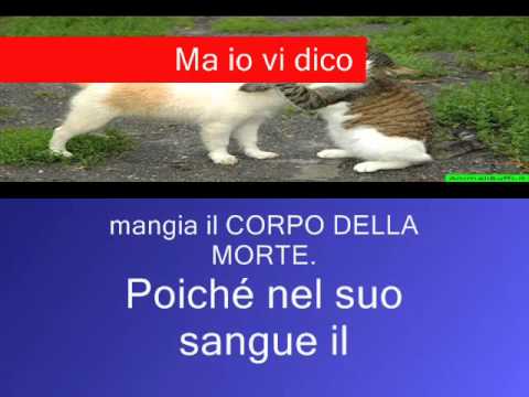 Trattamento nazionale di vermi a bambini Su un aglio di stomaco vuoto con latte da vermi
