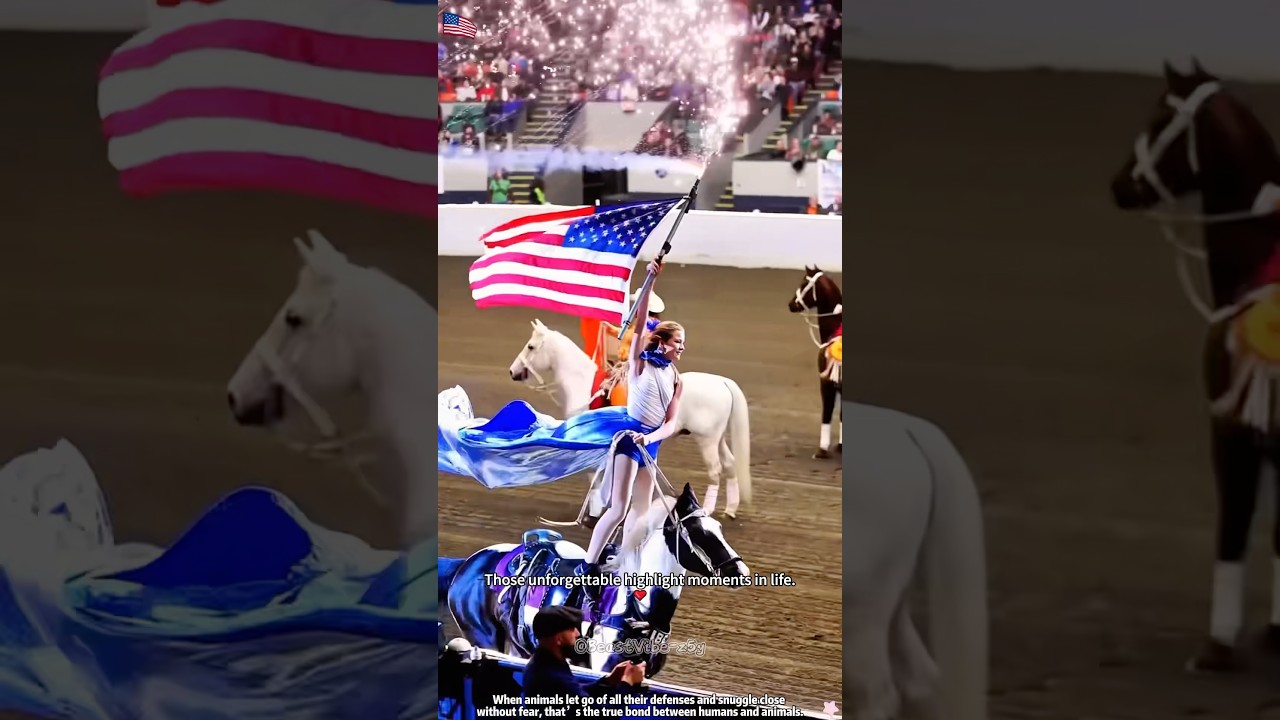 Grace, speed, and freedom 🐎#horse #equestrian #horselove #horseriding #shorts #freedom #viral #love