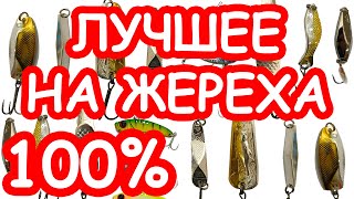 Ловля жереха летом на спиннинг