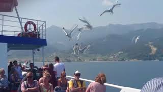 Our trip to Thasos in 2017