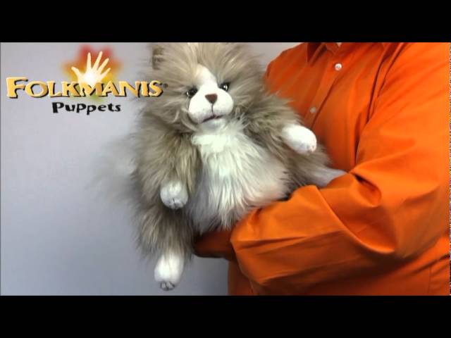 Video Teaser für 2566 FOLKMANIS Fluffy Cat