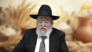 דף היומי בחצי שעה – מסכת מנחות דף צ”ג