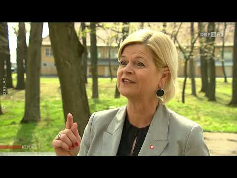 Die Miliz - eine Papierarmee?