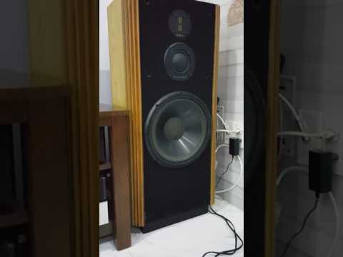 Loa Infinity kappa 7