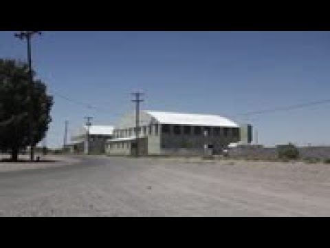 Workers at N.M. facility help migrants with travel