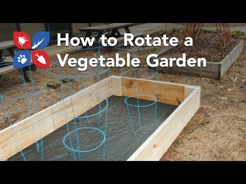  Do My Own Gardening - How to Rotate a Vegetable Garden  Video 