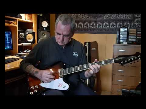 Epiphone Firebird 2022 - Zsolt Vámos