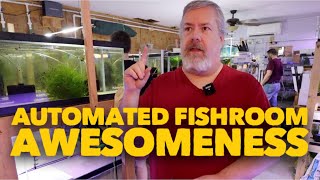 Mitchell Broome Fish Room Tour