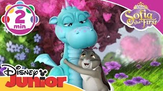Download lagu Sofia the First | I Like You So Much Song | @disneykids mp3