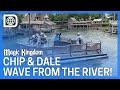 Chip And Dale On The Rivers Of America The Magic Kingdom